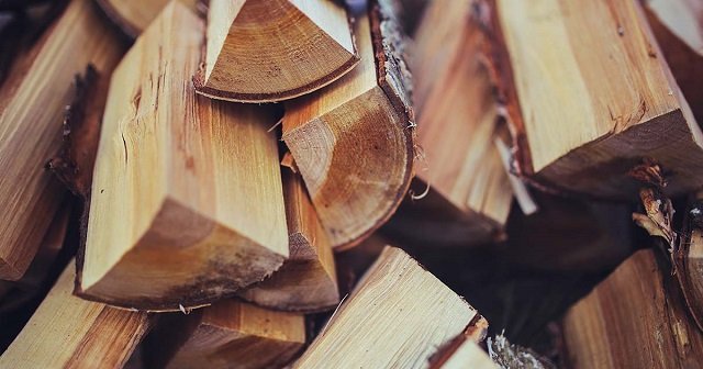 Memilih dan Mengenal Kayu yang Cocok untuk Diukir