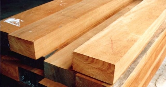 tips memilih kayu